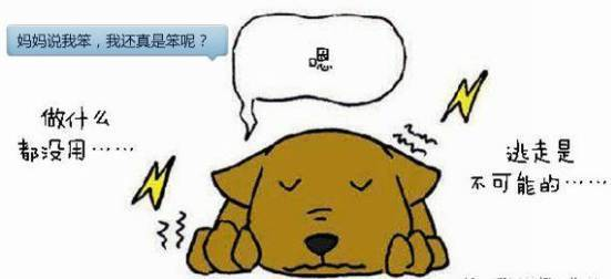 圖片2.png